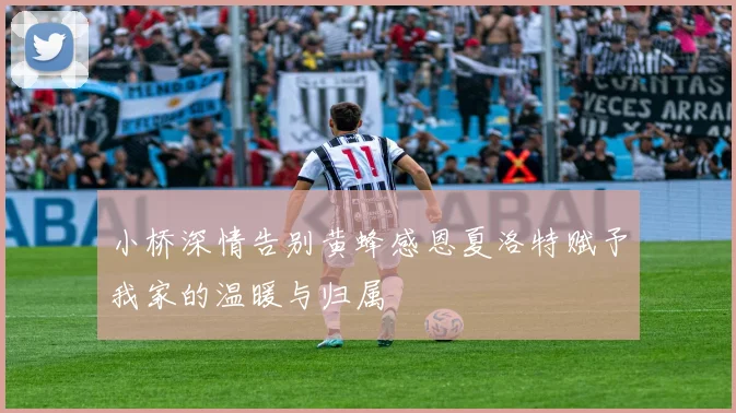 小桥深情告别黄蜂感恩夏洛特赋予我家的温暖与归属